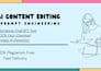 write custom chatgpt prompts and edit your ai content professionally